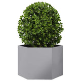 Garden Planter Hexagon 69x60x45 cm Galvanized Steel 851127