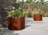 Garden Planters 2 pcs Hexagon 46x40x45 cm Weathering Steel 851121