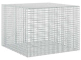 Gabion with 3.5 mm Wire and 5x2.5 cm Mesh 100x100x100 cm 3461948