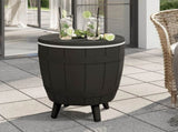 3-in-1 Ice Cooler Table Black Polypropylene 364159