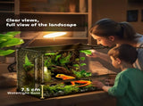 Turtle Cage/ Tortoise House 53297369