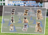 Dog Agility Equipment Set of Eight Cones 94475706