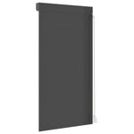 ZNTS Roller Shutter Aluminium 110x220 cm Anthracite 144983