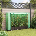 ZNTS Raised Bed with Greenhouse Cover Rattan Look 160x40x123 cm 4015798