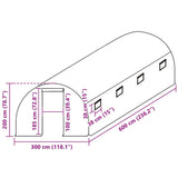 Greenhouse Replacement Cover 300x600x200 cm Green 316431