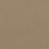 ZNTS Retractable Side Awning Taupe 200x1000 cm 4004769