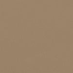 ZNTS Retractable Side Awning Taupe 220x1200 cm 4004874