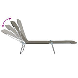 Sunlounger Set of 2 Grey Powder-coated steel 44302
