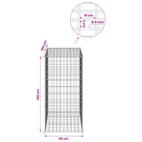 Gabion with 5 mm Wire and 5x10 cm Mesh 50x100x100 cm 3464827