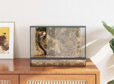 Terrarium with Storage Transparent 30 x 30 x 30 cm Glass 42020387