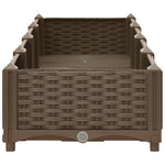 Raised Bed 160x40x23 cm Polypropylene 316514