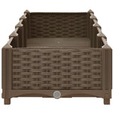 Raised Bed 160x40x23 cm Polypropylene 316514