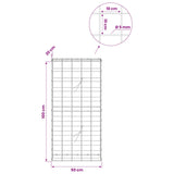 Gabion with 5 mm Wire and 10x10 cm Mesh 50x20x100 cm 3465019