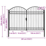 Fence Gate "ASSEN" Double Door with Arched Top Steel 300x200 cm 146341