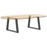 Coffee Table Legs V-Shape 2 pcs Anthracite 50x cm Steel 4012550