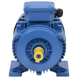 3 Phase Electric Motor Aluminium 2.2kW/3HP 2 Pole 2840 RPM 148004