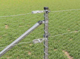 Welded Wire Fence with Spikes 50 x 0.6 m 3353406