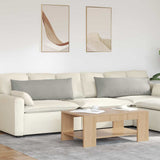 Sofa Pillows 2 pcs Light Grey 120 x 40 cm Fabric 42013812