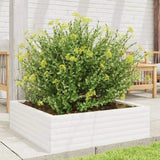 Garden Planter White 80x80x23 cm Solid Wood Pine 847199