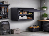 Wall-Mounted Metal Storage Cabinet 50.8cm Tall with Adjustable Shelf 54.4kg Load Capacity per Shelf T6639P618844