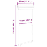 ZNTS Balcony Side Awning 85x250 cm Cream 48407