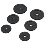 Weight Plates 6 pcs 30 kg Cast Iron 93639