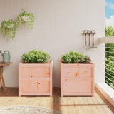 Garden Planters 2 pcs Solid Wood Douglas 837431