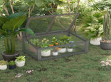 Wooden Cold Frame, Small Polycarbonate Greenhouse for Plants with Openable & Tilted Top Cover, Grey, T3398P328420