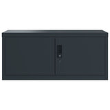 ZNTS File Cabinet Anthracite 90x40x220 cm Steel 3188332