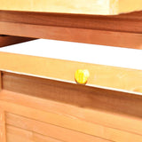Chicken Coop Wood 295x163x170 cm 170411