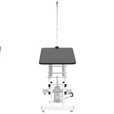 Hydraulic Bath Grooming Table for Dogs Cats Pets Adjustable 170172