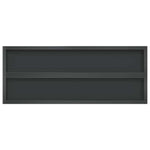 Wall Shelves 2 pcs 100x40x3 cm Black Stainless Steel 30287