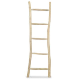 244568 Towel Ladder with 5 Rungs Teak 45x150 cm Natural