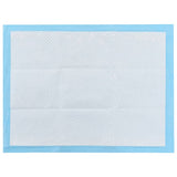 Pet Training Pads 400 pcs 60x45 cm Non Woven Fabric 170759