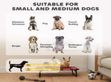Dog House 54636887
