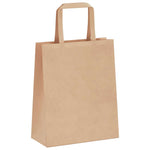 ZNTS Paper Bags 250 pcs with Handles Brown 18x8x22 cm 4101810