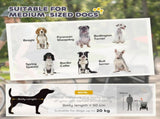 2-In-1 Pet Bike Trailer Dog Stroller Pushchair with Universal Wheel Reflector Flag Grey T3398P552689