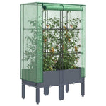 ZNTS Raised Bed with Greenhouse Cover Rattan Look 80x40x140 cm 4015833