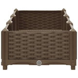 Raised Bed 120x40x23 cm Polypropylene 316513