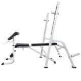 Workout Bench with Weight Rack, Barbell and Dumbbell Set 60.5kg 275362