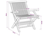 Folding Garden Chair 2 pcs Natural Solid Teak Wood 42028483