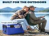 42.6L Insulated Cool Box, Lightweight Portable Ice Cooler with Handle, Lid and Drain Valve, Dark T3398P553431
