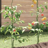 ZNTS Spiral Plant Support Green Metal 170 cm Planters Plant Support 4107053