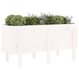 Garden Raised Bed White 121x50x57 cm Solid Wood Pine 825227