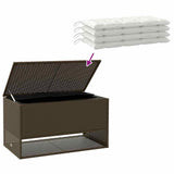 Outdoor Cushion Box Brown 100x55x55.5 cm Poly Rattan 4104142
