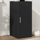 Shoe Cabinet Black 32x35x70 cm Engineered Wood 808956