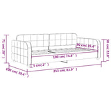 Day Bed without Mattress Dark Grey 90x190 cm Single Velvet 354075