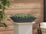 Garden Planter 5 pcs Black 50 x 50 x 15 cm Cold-rolled Steel 873825