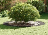 suitable for Flat Tree Ring Black 90 / 120 cm Steel 873718