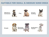 Dog bowls /Pet Feeding Storage 93493226